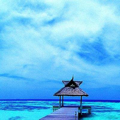 爱游戏(AYX)下载手机版